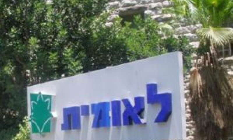 [צילום: יח"צ]