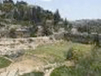 חוצות היוצר בבריכת השולטן