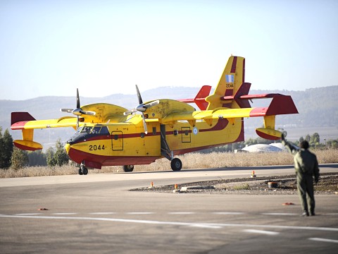 מטוס סיוע מאירופה נוחת בבסיס רמת דוד [צילום: דו"צ]