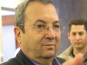 "לא התחרות יופי". ברק [צילום: פלאש 90]