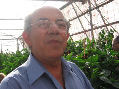 בני גמליאל בחממות מו"פ לכיש