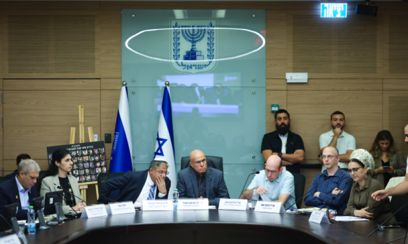 הדיון בוועדה בכנסת [צילום: חיים גולדברג/פלאש 90]