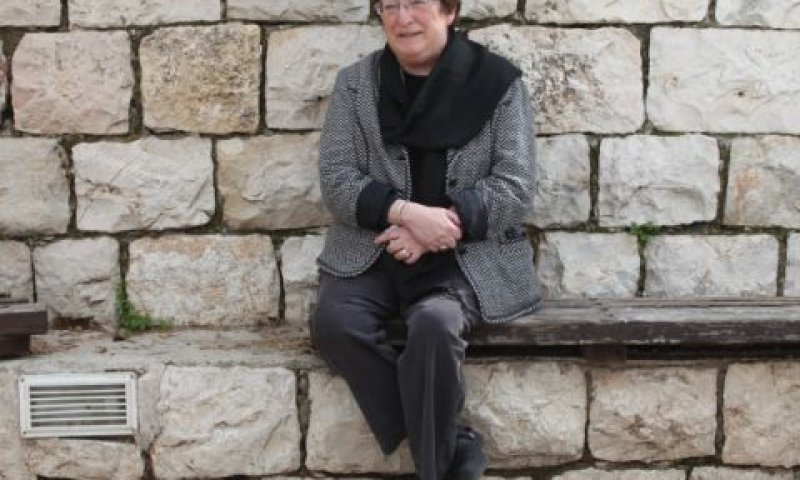 נעמי חזן. דיונים בסוגיות רגישות [צילום: פלאש 90]