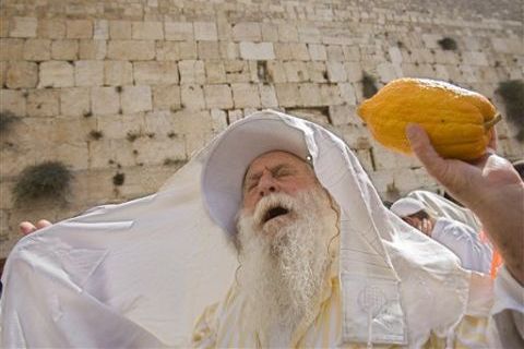 [צילום: AP]