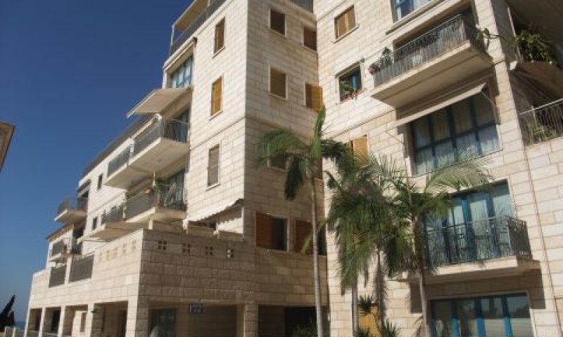 אנדרומדה. "לא פציתי את הפה"