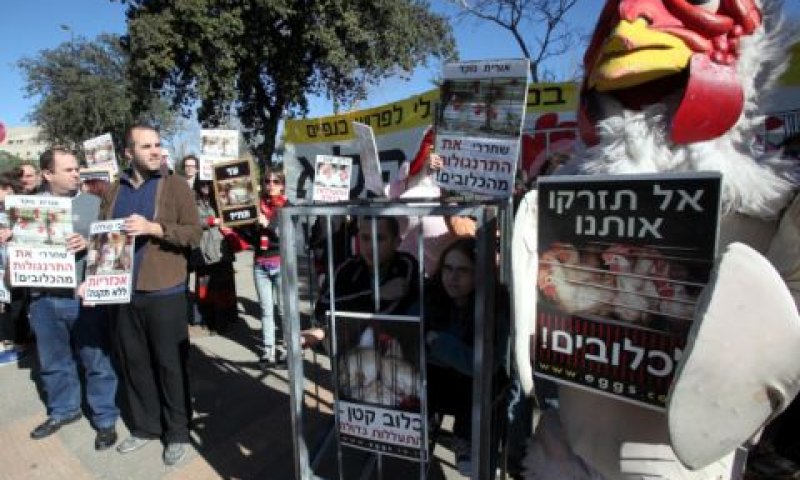 השכוי אינו מבין את פשר ההשתהות [צילום: פלאש 90]