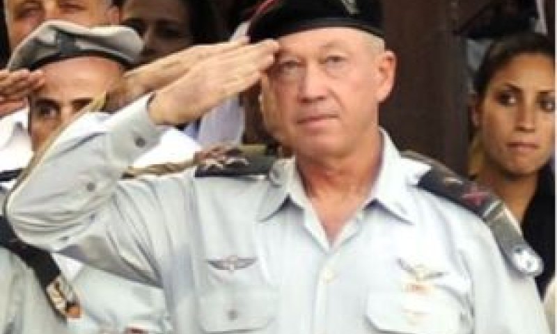 יואב גלנט [צילום: דו"צ]
