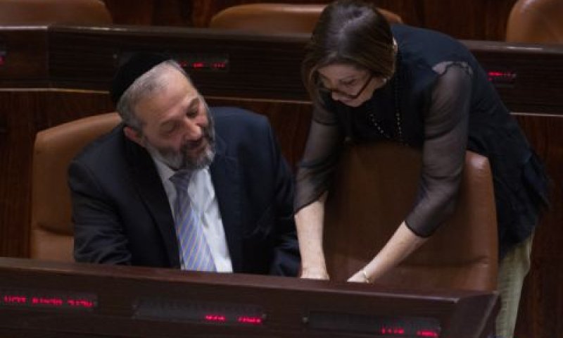 גלאון ודרעי. שיח מאיים [צילום: מרים אלסטר/פלאש 90]