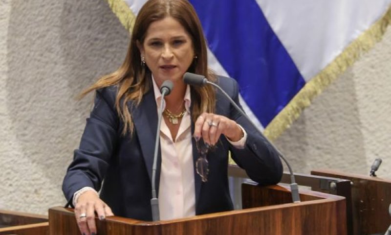 [צילום: דני שם-טוב/דוברות הכנסת]