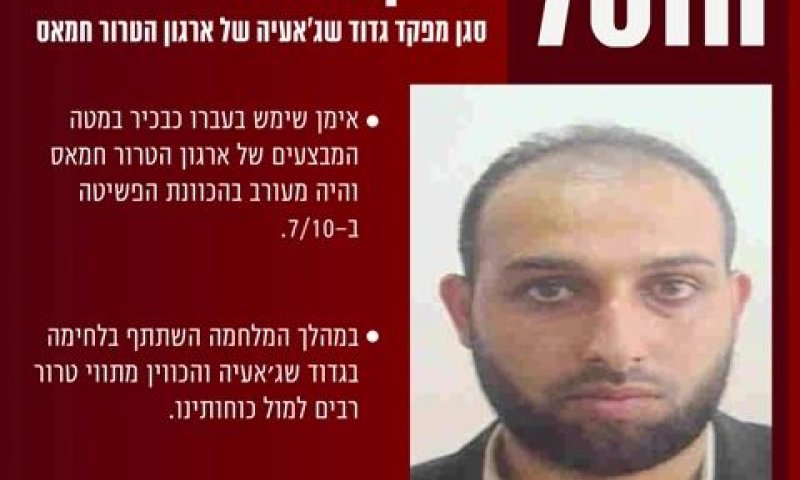 פרופיל המחבל