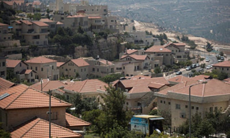 גם וגם [צילום: הדס פרוש/פלאש 90]