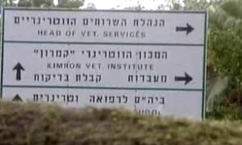 השירות הווטרינרי: כשלים חמורים