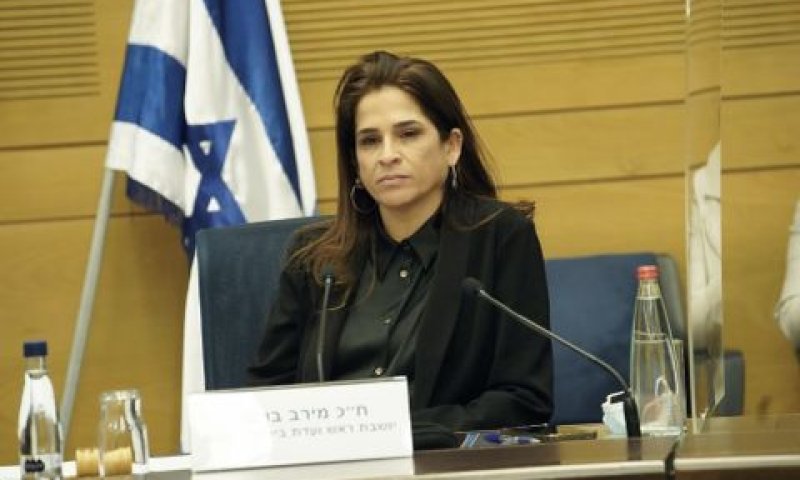ח"כ בן ארי. "תחושת האשמה חוצה מגזרים" [צילום: דני שם-טוב, דוברות הכנסת]