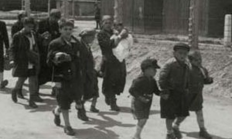 ילדים באושוויץ