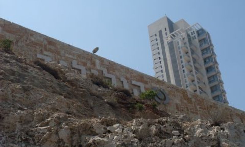 היתר החפירה הוקדם לצורך תחילת השיווק
