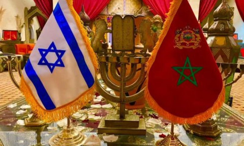 [צילום: יח"צ]