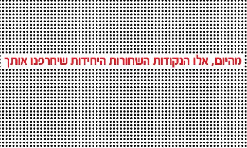 [צילום: יח"צ]
