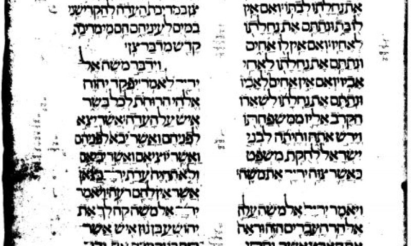 קודקס הללי