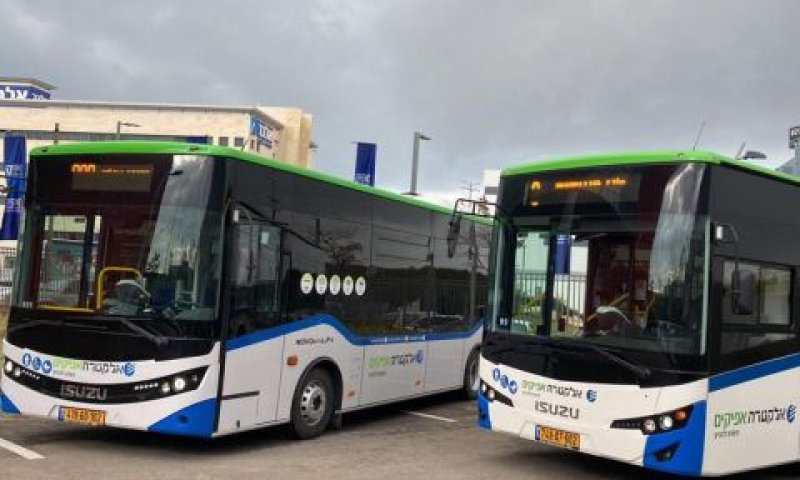 פעימת שיפורים של אלקטרה אפיקים [צילום: יח"צ]