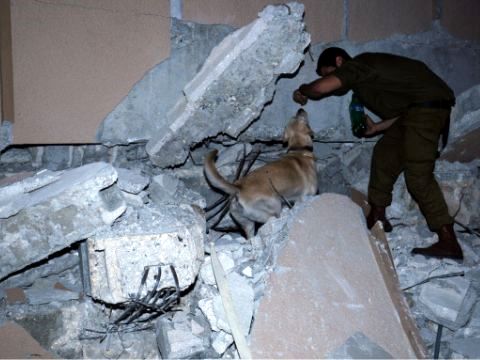 כלבן ביחידת העוקץ מחפש אחר ניצולים [דו"צ]