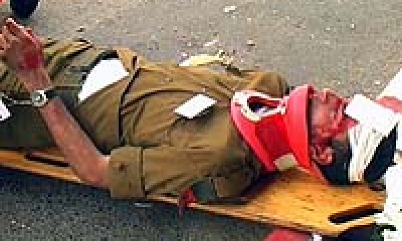 [צילום: בוצ&acute;צ&acute;ו]