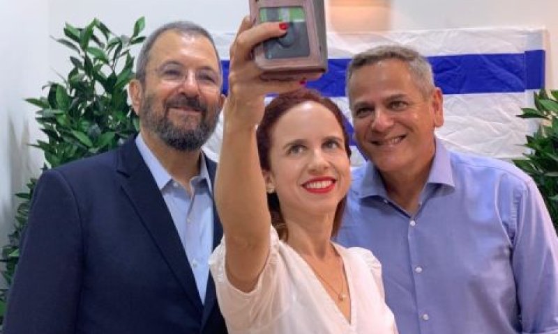 המחנה הדמוקרטי. הורוביץ במקום הראשון