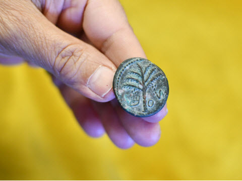 מטבע שמעון, מנהיג מרד בר כוכבא [צילום: יולי שוורץ, רשות העתיקות]