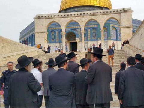 [צילום: חיים קרויזנר/בני עלייה]