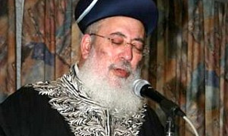[צילום: הסוכנות היהודית]