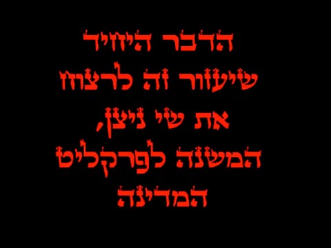 מתוך הסרטון שהופץ ברשת