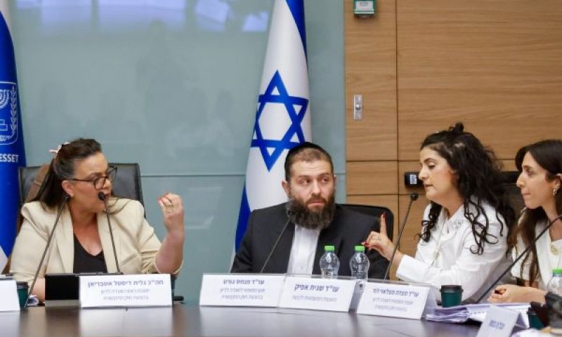 אפיק הזהירה, דיסטל תקפה [צילום: נועם מושקוביץ/דוברות הכנסת]