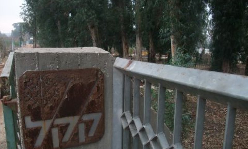[צילום: איתמר לוין]