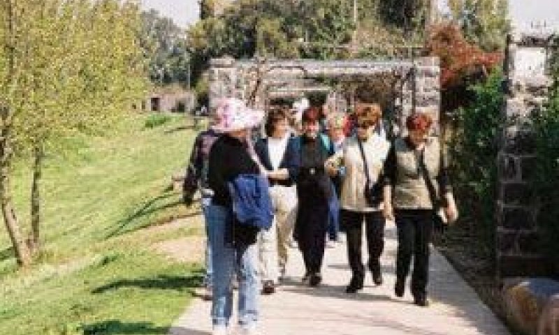 קיבוץ עמיר [צילום: לע"מ]