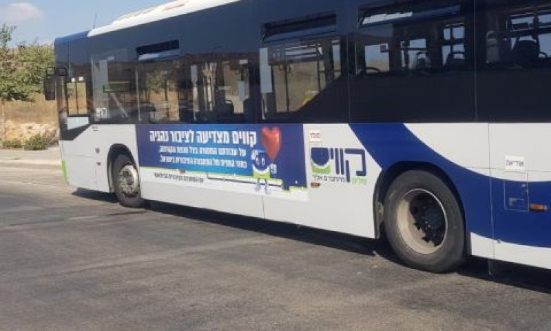 [צילום: חברת קווים]