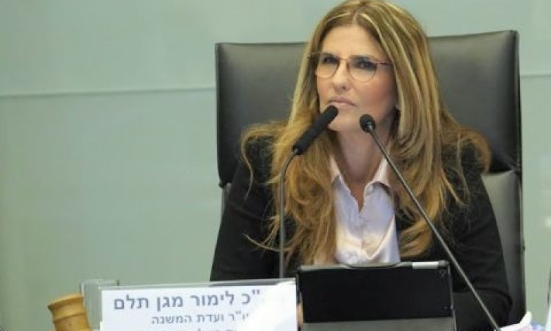 יו"ר הוועדה [צילום: דני שם-טוב/דוברות הכנסת]
