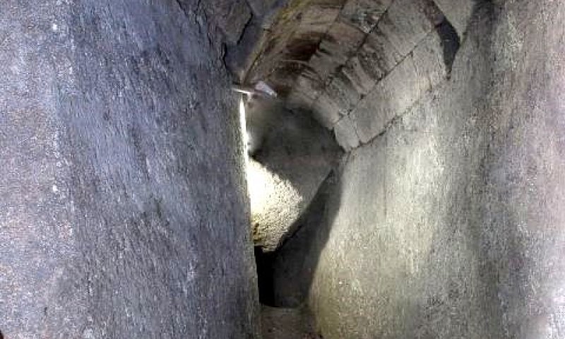 [צילום: ולדמיר נייחין]