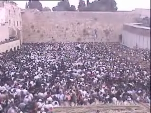 [צילום: מצלמת הכותל]