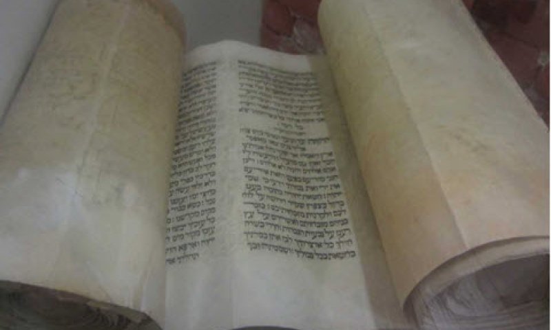 [צילום: תפארת חקק]