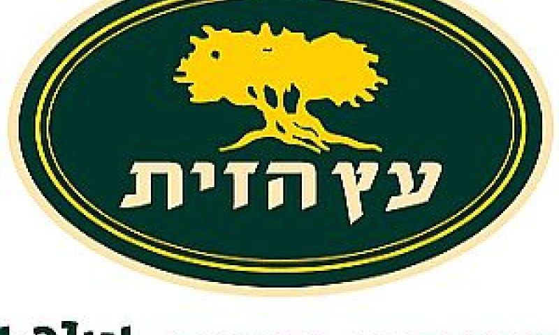 עץ הזית