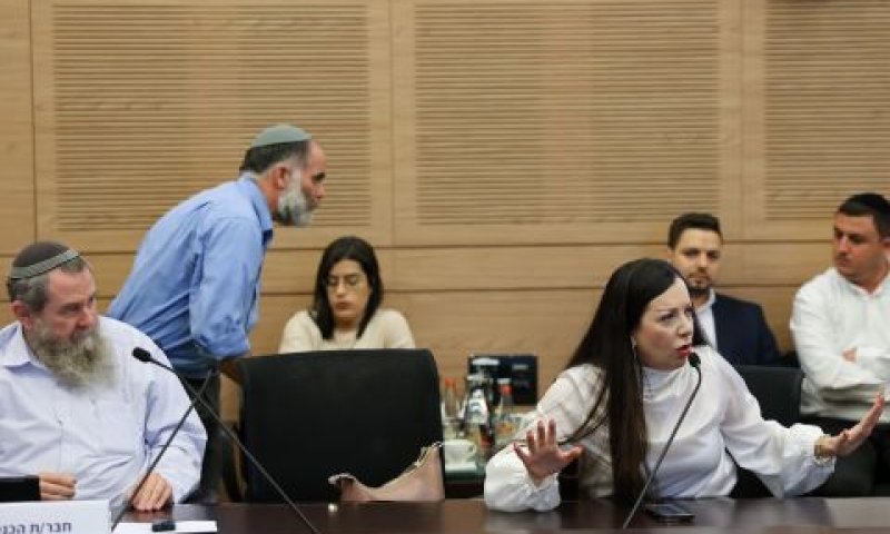 גוטליב ומעוז במהלך הדיון בוועדה [צילום: נועם מושקוביץ/דוברות הכנסת]