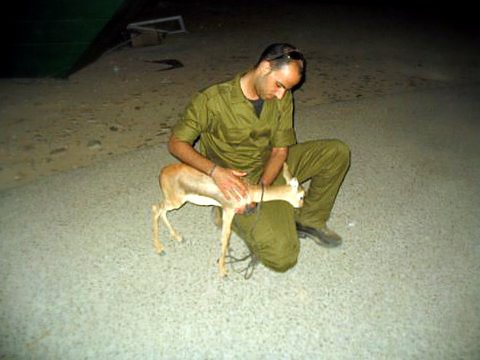 [צילום: אסף קפלן, רשות הטבע והגנים]