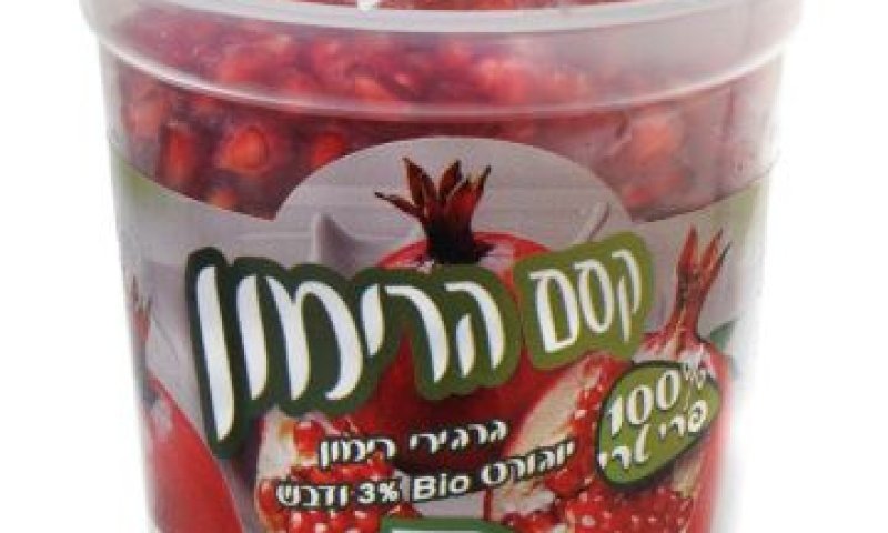 [צילום: יח"צ]
