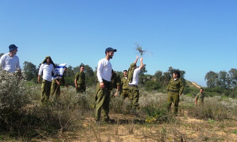 חיילים בפעילות סביבתית בחולות פלמחים [צילום: אלון רוטשילד, החברה להגנת הטבע]