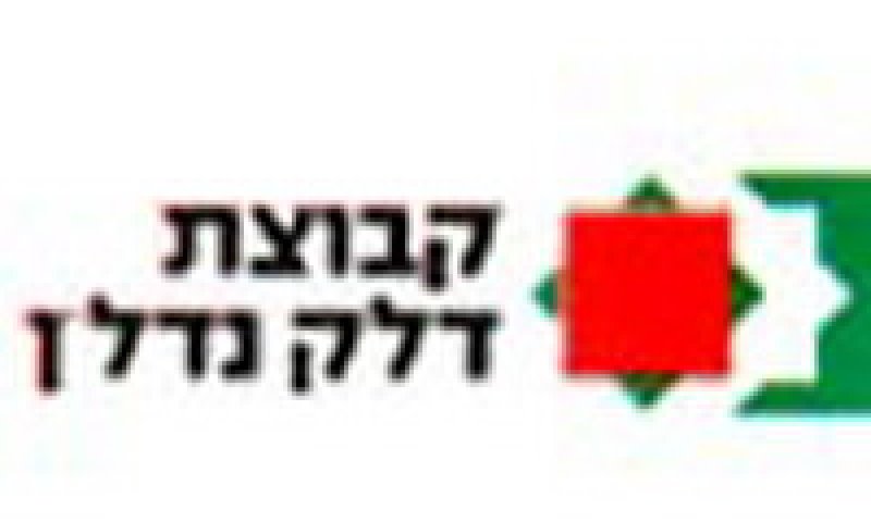 החוקרים בדקו מסמכים