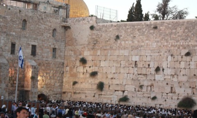 אתר המתוייר ביותר [צילום: איציק וולף]