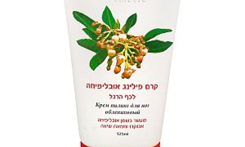[צילום: יח"צ]