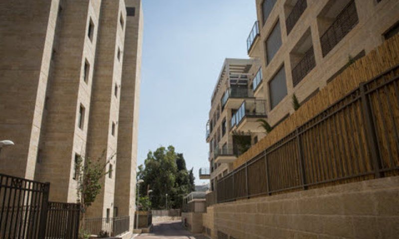 חלוקה שווה במיזם [צילום: הדס פרוש/פלאש 90]