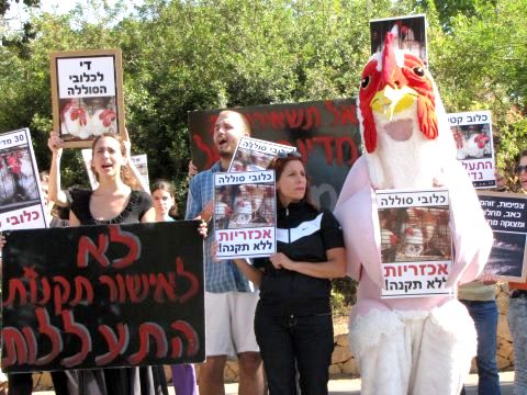 המפגינים נגד הרפורמה. במרכז: אורנה בנאי [צילום: אנונימוס]
