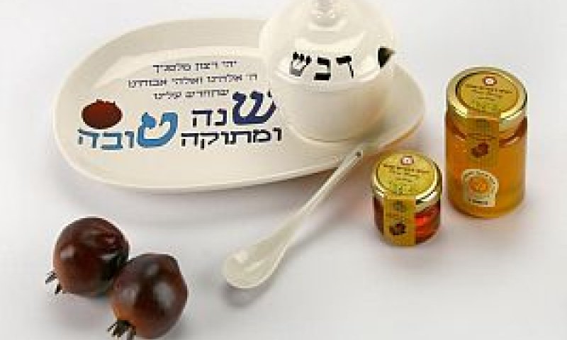 [צילום: עמית שטראוס]