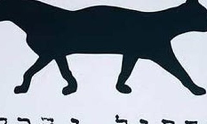 מסיבה בפארק הירקון